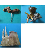 Genuine Drift Wood Corkscrew Ashtray Vase Planter Rare Pick 1 ^^^ - $75.22 CAD