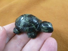 (Y-TUR-LA-582) Green Black Tortoise Turtle Carving Figurine Gemstone Gem Turtles - £11.23 GBP