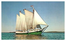 The Victory Chimes one of last 3 masted schooners in operation Boat Postcard  - £7.71 GBP