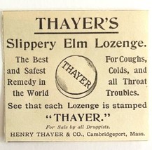 Thayer&#39;s Slippery Elm Lozenge 1894 Advertisement Victorian Medical 2 ADBN1hh - £7.81 GBP