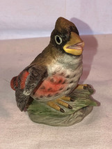 Boehm Fledgling Cardinal Figurine 40233 Mint - £23.58 GBP