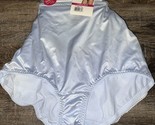 Vanity Fair Radiant ~ Womens Brief Underwear Panties 3-Pair Nylon (C) ~ ... - £18.69 GBP