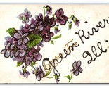 Generic Floral Greetings Violets Green River Illinois IL DB Postcard w M... - £5.39 GBP