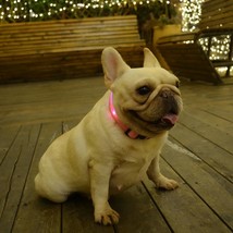 Battery Powered Luminous Dog Collar - $15.97
