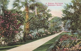 California Residence Street Flowers Vintage Colortone Postcard A105 Van ... - $4.85