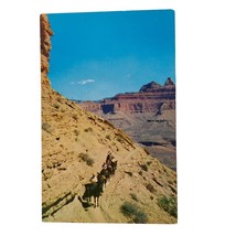 Postcard Mule Train On Kaibab Trail Grand Canyon Arizona Chrome Unposted - $4.84