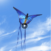 Blue Butterfly Kite - £14.47 GBP