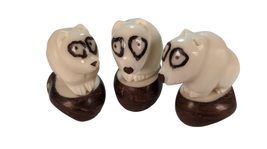 Terrapin Trading 1 x Fair Trade Ecuador Tagua Carving | Vegan Ivory | SPECTACLED - £23.55 GBP