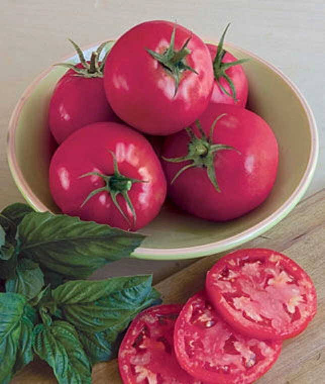 50 Seeds Razzle Dazzle Tomato Tomatoe Vegetable Garden Edible Canning - $5.18
