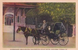 Horsedrawn Vehicle Mount Royal Montreal Canada Postcard C60 - £2.23 GBP