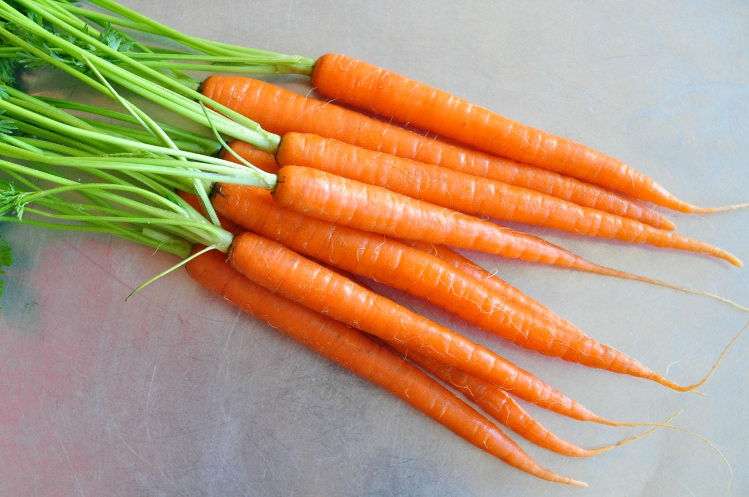 Carrot nantes seeds -  code 127 Item image 2