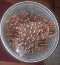 Lot of 15 medium to large natural Pine Cones 3&quot; - 5&quot; 1 smaller - £29.24 GBP