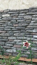 #ODL-03 Ledgestone Veneer 14 Stone Mold Set Make 100s Custom Concrete Wall Rocks image 7