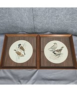 Vintage Framed Signed John Murr Bird Prints 1956 Barn Swallows 1958 2 pc... - $45.46