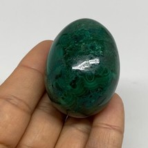 104.5g, 1.8&quot;x1.4&quot;, Natural Solid Malachite Egg Polished Gemstone @Congo, B32776 - £66.17 GBP