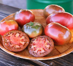 VP 50 Seeds Moreton Tomato Tomatoe Vegetable Garden Edible Canning - £3.46 GBP