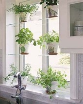 Acrylic Window Shelves - $65.00+