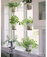Acrylic Window Shelves - $65.00+