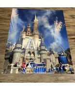 Walt Disney World Cinderella Castle with Fireworks 8X10 Photograph KG JD - €9,37 EUR
