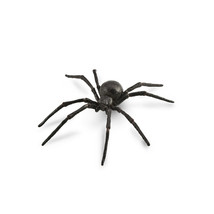 CollectA Black Widow Spider Figure (Large) - £28.30 GBP