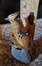 Bufflo Horn Carved Bird - $23.00