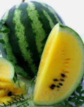 25 Pc Seeds Watermelon Yellow Petite Fruit, Watermelon Seeds for Planting | RK - £8.20 GBP