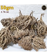 50g Flower Of Maryam 1.76 oz Chaste Tree Herbs Palm Of Mary عشبة كف... - $177.48 MXN 50g Flower Of Maryam 1.76 oz Chaste Tree Herbs Palm Of Mary عشبة كف... - $177.48 MXN