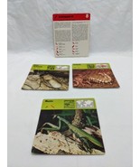 Lot Of (3) 1975 Rencontre Arthropods III Education Cards - $233.93 MXN