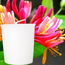 Japanese Honeysuckle Scented Eco Soy Wax Votive Candles, Hand Poured - £18.08 GBP+