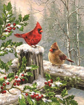 Christmas Cardinal Red Bird Holly Berrys Cross Stitch Pattern***LOOK*** - £2.31 GBP