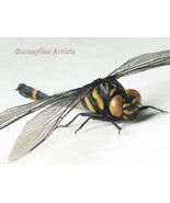 Club-tailed Dragonfly Gomphidictinus Tongi Odonata Framed Entomology Sha... - $1,455.66 MXN