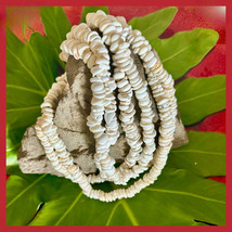 da Hawaiian Store Puka Shell Necklace (choose) - $38.99+