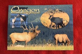 Oregon Postcard Elk in the fields NEW Unposted - $3.99