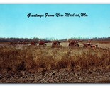 Soy Bean Harvest Greetings From New Madrid Missouri MO UNP Chrome Postca... - $4.90