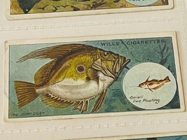 WD HO Wills Cigarettes Tobacco Trading Card 1910 Fish Bait Lure #37 John... - $19.69