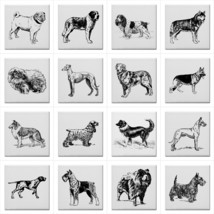 Dog Breeds Ceramic Tile Set Of 16 Backsplash 4.25&quot; Tiles Home Decor Dogs Art - £167.96 GBP