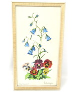 Pansies Bluebells Water Color Painting Wood Frame 12&quot; x 7&quot; Dietershagen ... - £125.61 GBP