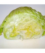 SEPTH Iceberg Lettuce 500 Seeds 1/2 Gram B302 - $12.21 CAD