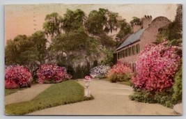 Middleton Place Gardens Tudor Mansion Charleston SC Hand Colored Postcard P22 - £6.82 GBP