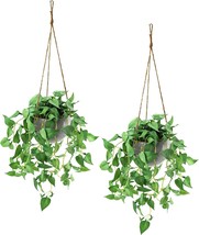 Fake Hanging Plants with Pots 2 Pack Artificial Faux Anthurium Leaf Hanging Bask - £28.56 GBP
