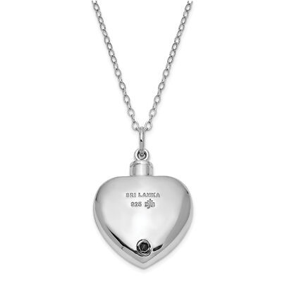 Sentimental Expressions Silver  With Me Always Ash Holder 18 Inch Necklace QSX42 Item image 3
