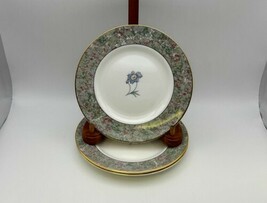 Set of 3 Wedgwood Bone China HUMMING BIRDS Bread &amp; Butter Plates - €43,73 EUR