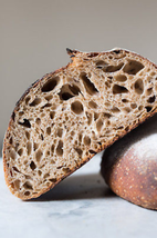 tangy sassy san francisco sourdough starter 150+ yrs old and sour SALLY 5 - $7.72