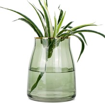 Vanenjoy 7 Inch Green Clear Simple Green Glass Flower Vase, Decorative Gilded - £31.45 GBP