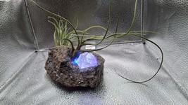 SD Hand Carved Pumice Stone Crystal Plants Holder/Pot And Led Light Uniq... - $52.58