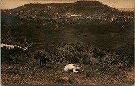 Vtg Cartolina RPPC 1908 Mokelumne Collina California Ca Mucche IN Foreground - £21.40 GBP