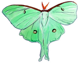 Luna Moth High Quality Auto Truck Car Window Printed Vinyl Decal Sticker - £5.36 GBP+