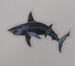 Shark X-Ray Transparent Sticker 1.58&quot; x 2.58&quot; (B) - $1.64