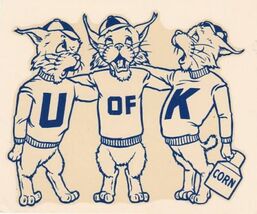 University of Kentucky NCAA 12X8in Metal Sign Wildcats Vintage Style - €21,34 EUR