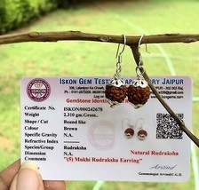 Lab Certified 925 Silver + 5 Mukhi RUDRAKSHA Panchmukhi Rudraksh 5 Face ... - $18.16